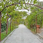Romeijn Vila Cerda